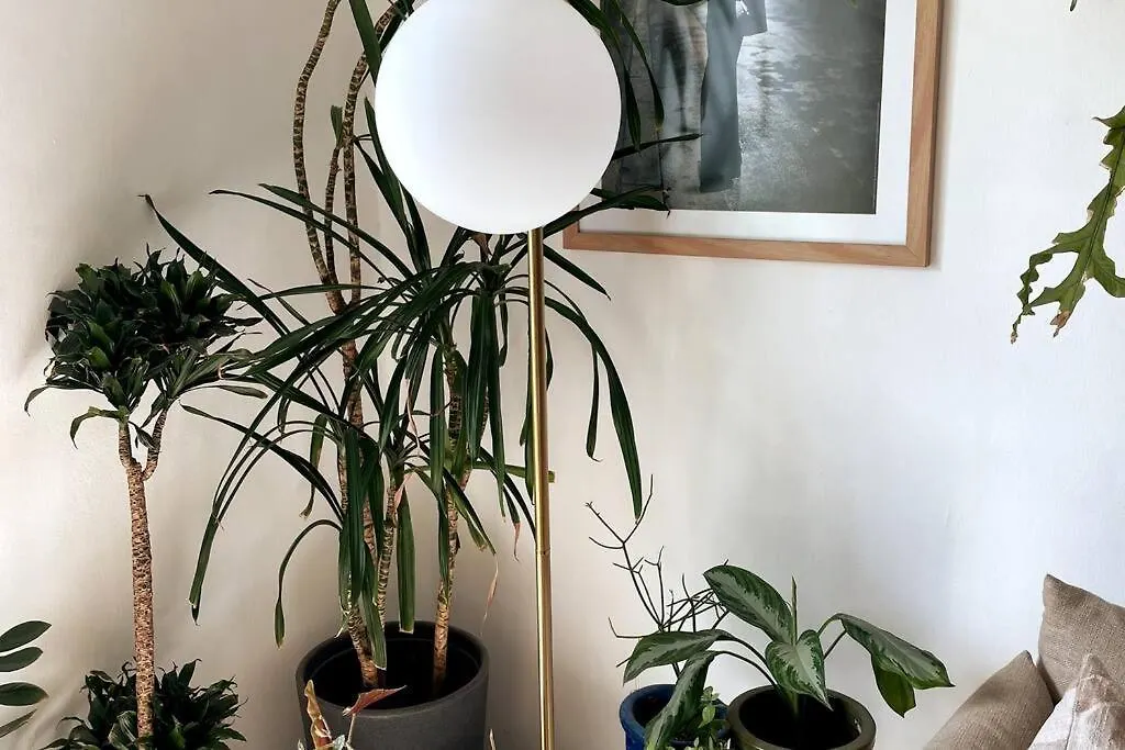 Вилла Garden Of Eden Дубай