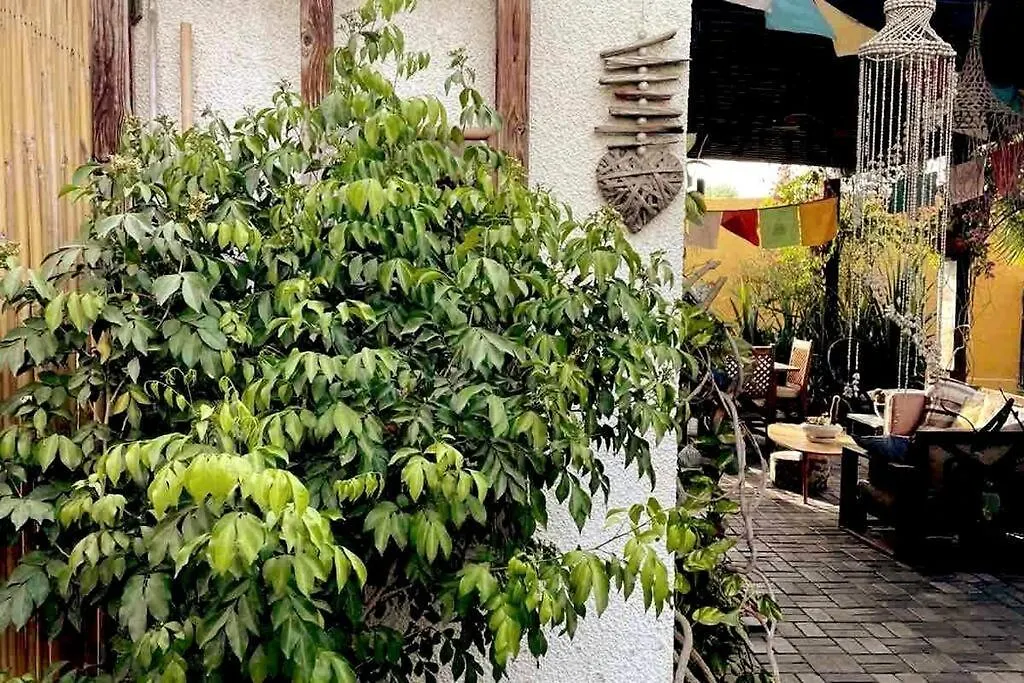 Вилла Garden Of Eden Дубай